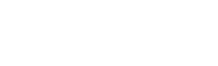 Vizio