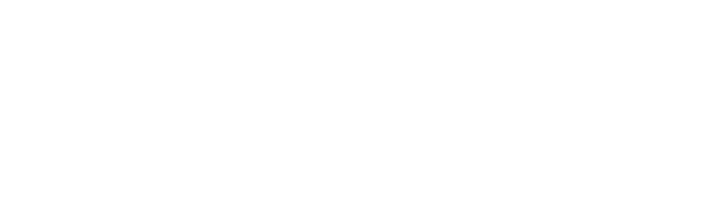 Vizio