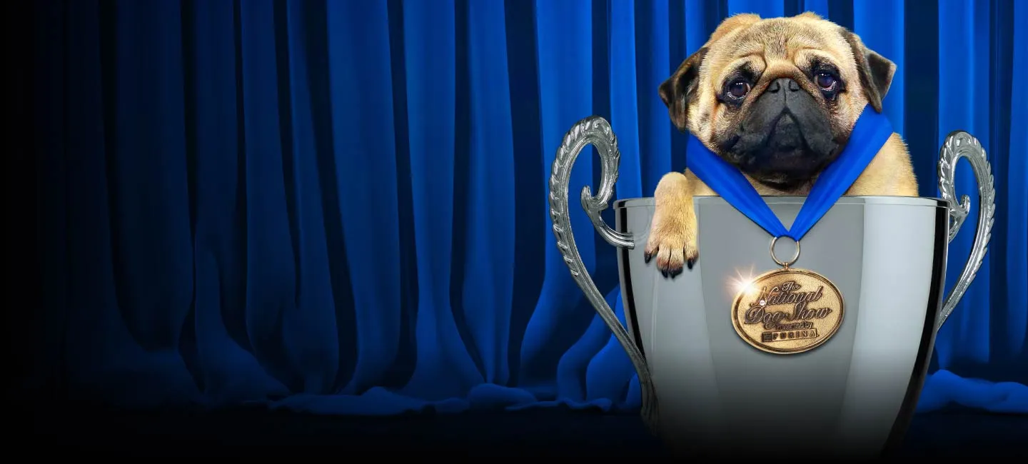 The National Dog Show hero image