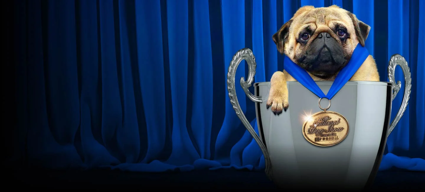 The National Dog Show hero image