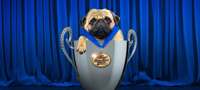 National Dog Show Image