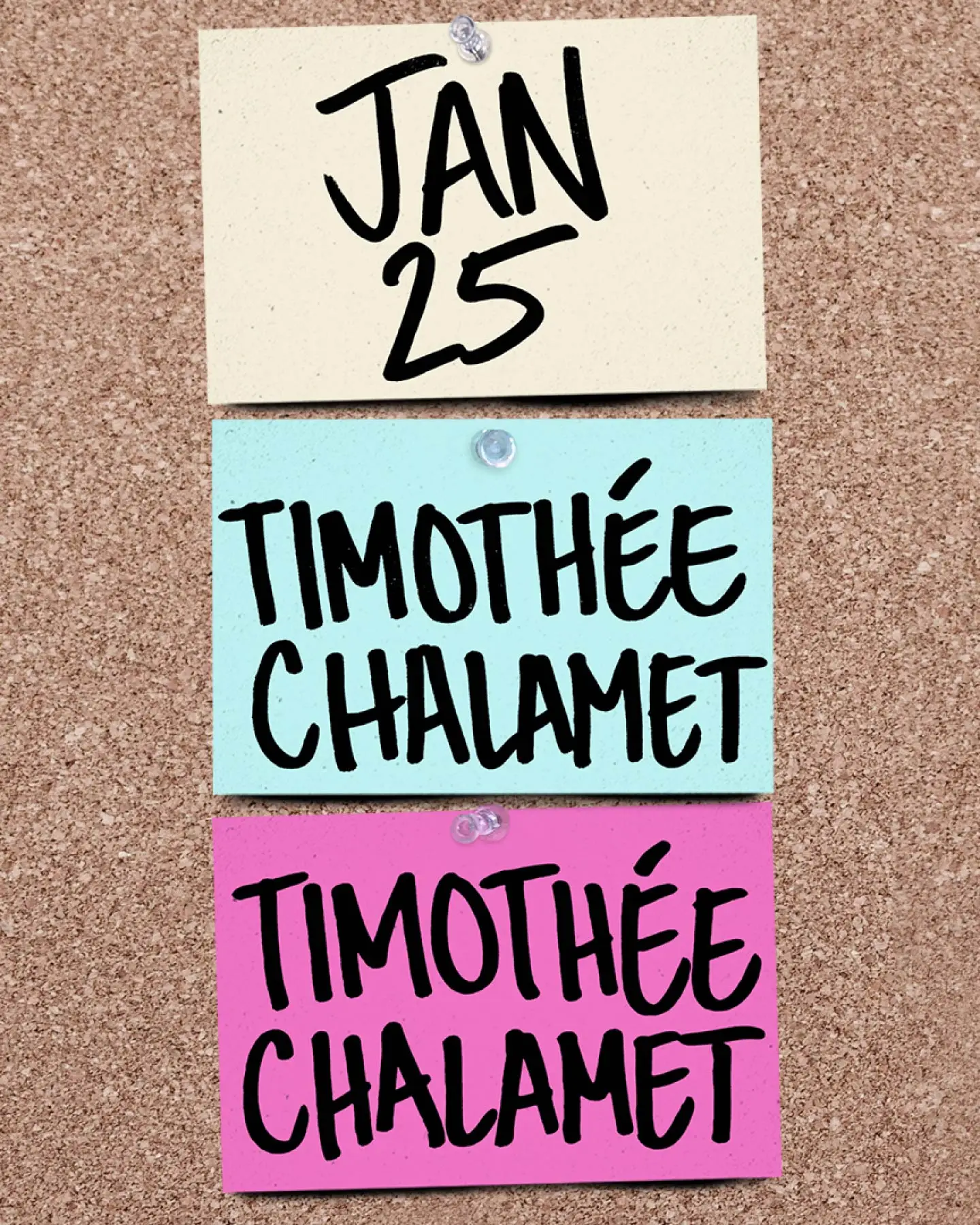Timothée Chalamet host promo image