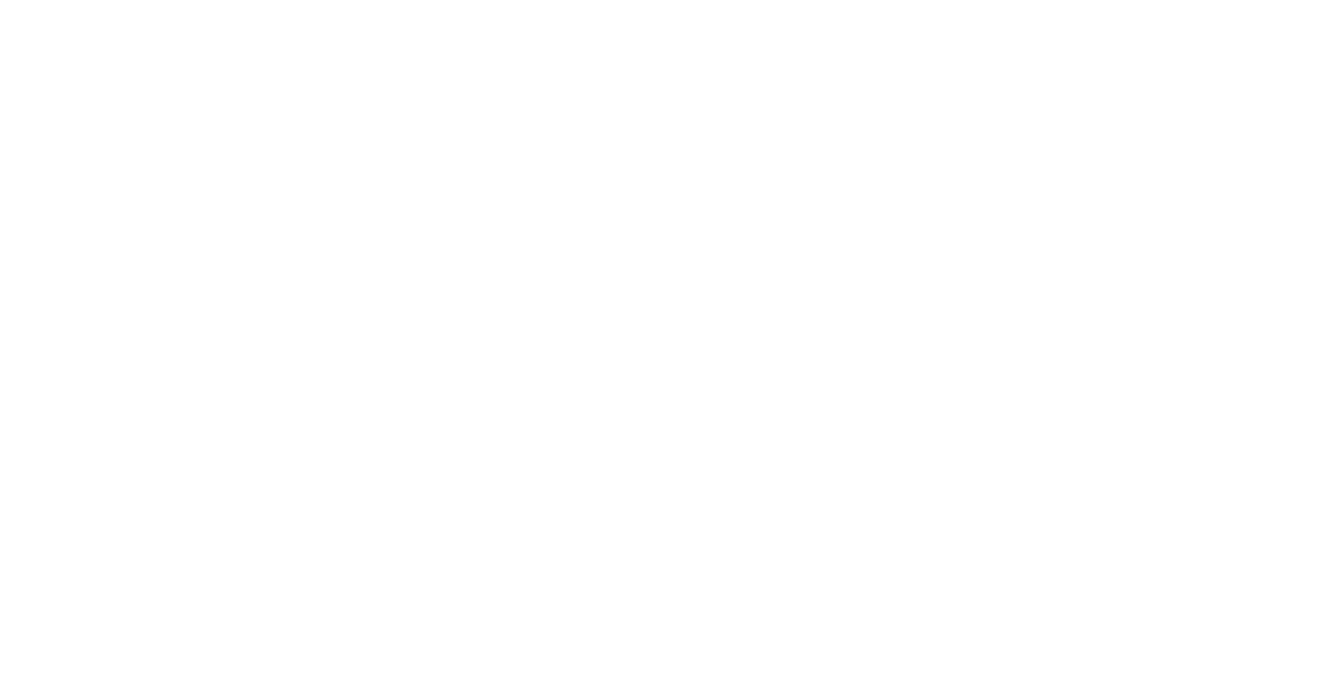 North Carolina Logo Image