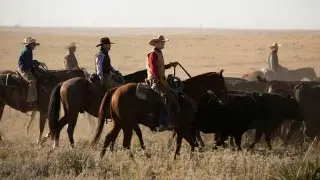 Yellowstone S4 Episode 8