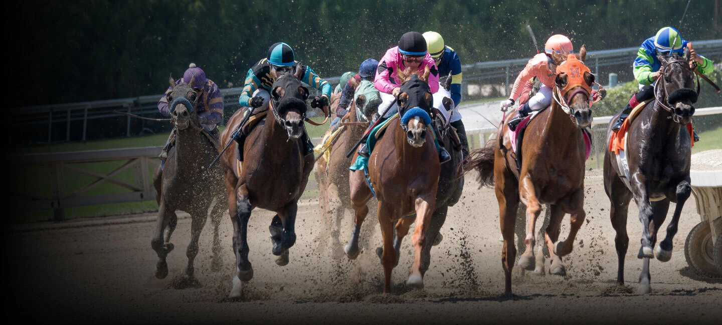 Horse racing hero image