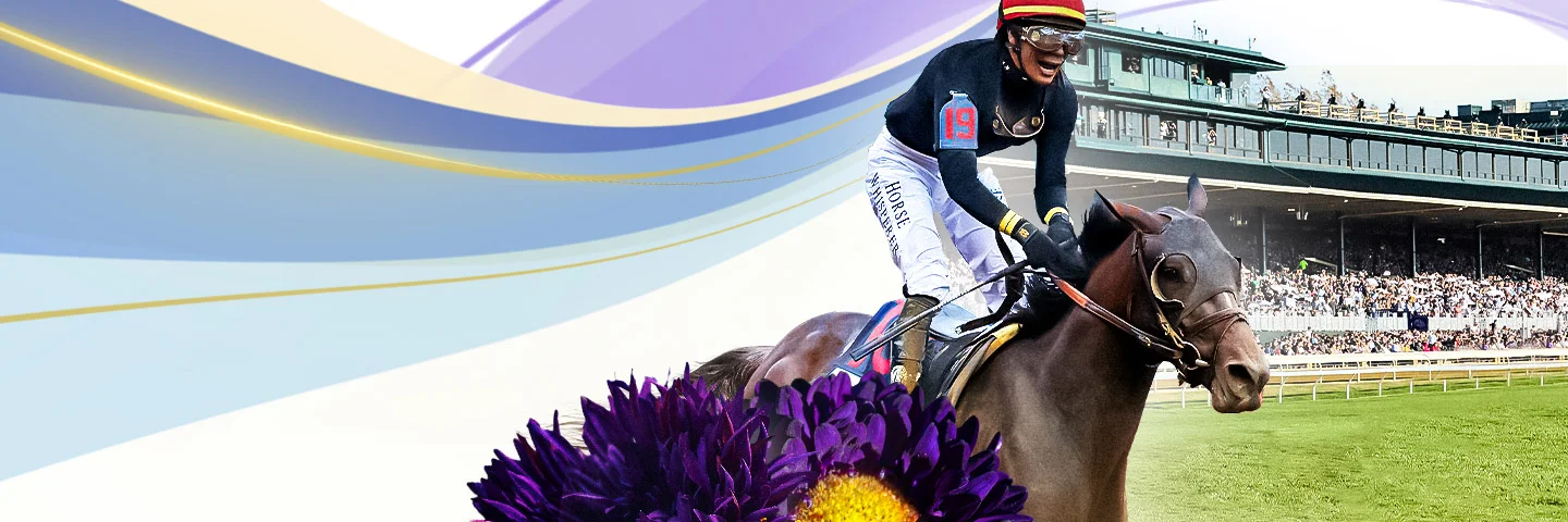 Horse racing hero image