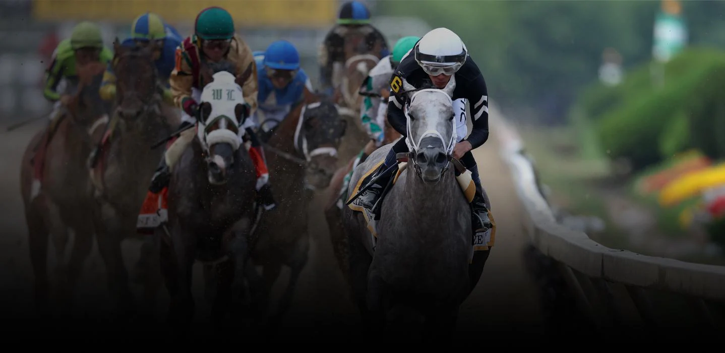 Horse racing hero image