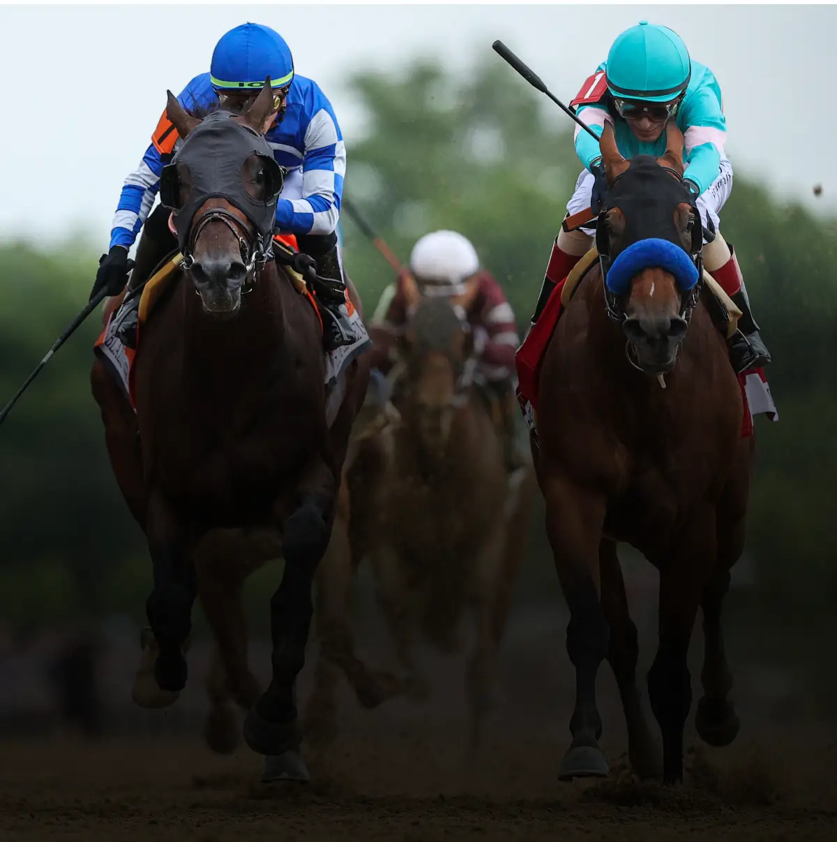 Horse Racing Image