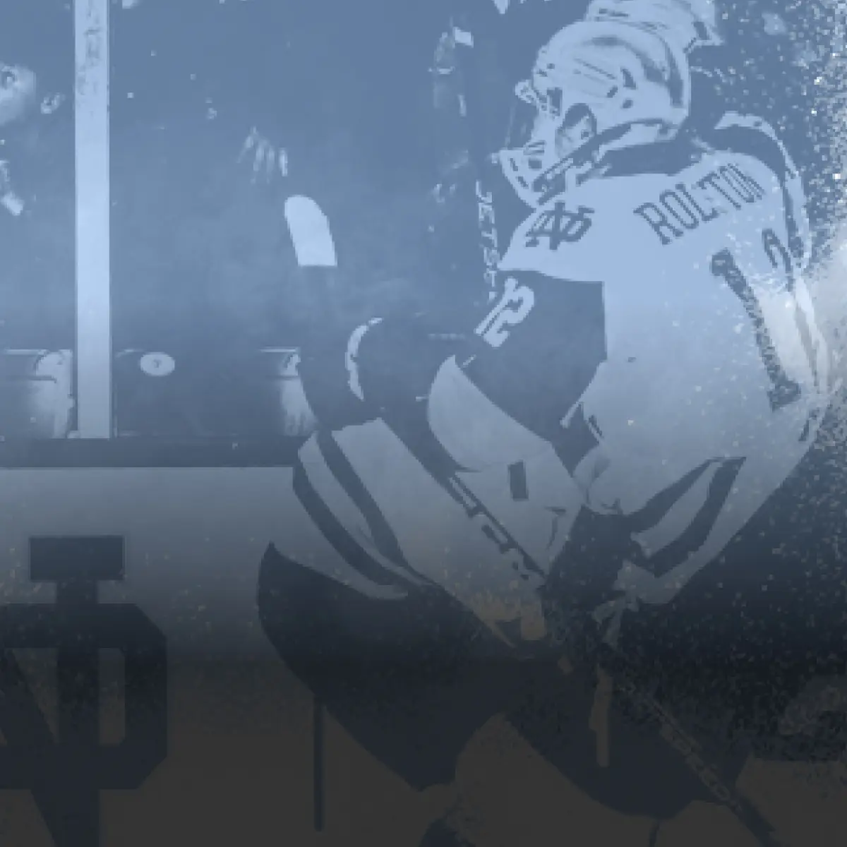 Notre Dame Hockey 