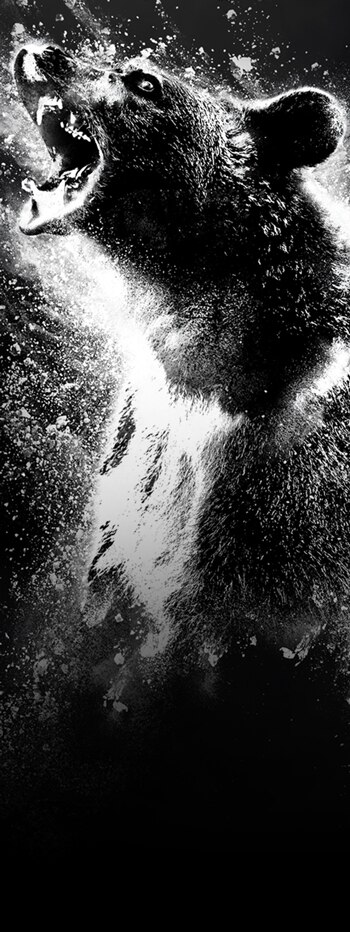 Cocaine Bear - STREAMING NOW