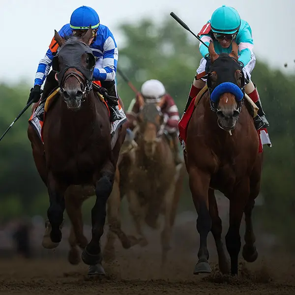 Horse Racing