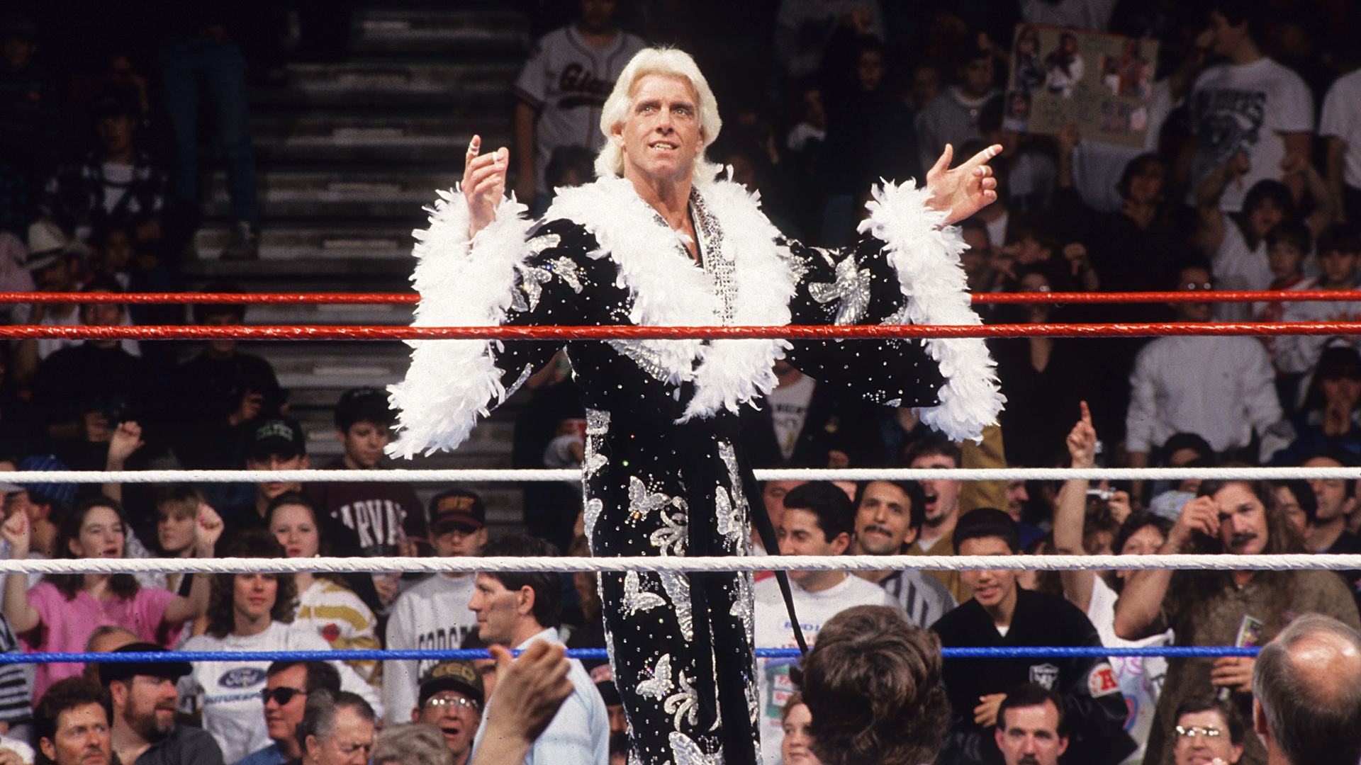 Ric Flair from WWE Evil S01 E07