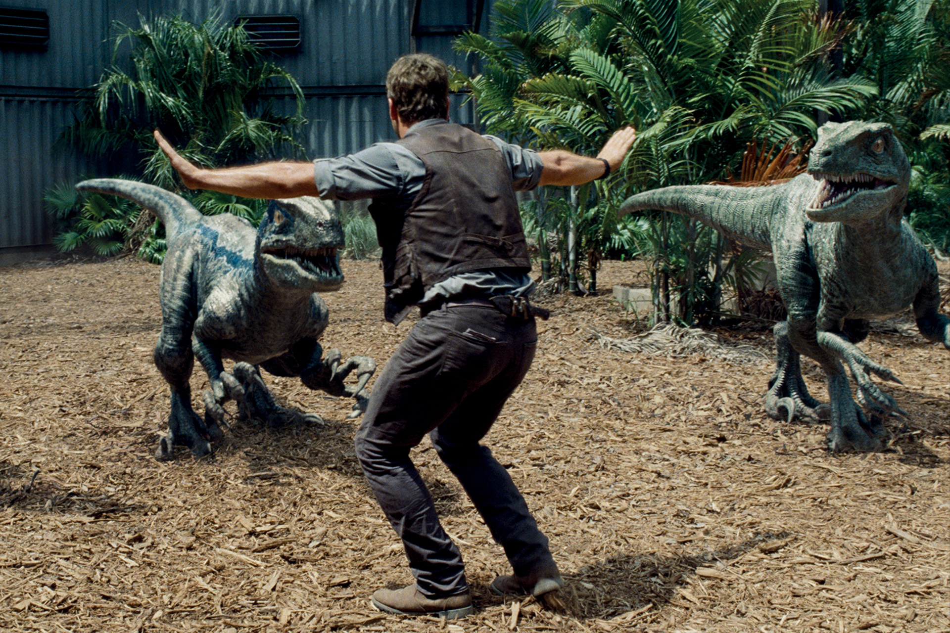 Why the Jurassic Park Movies Are a Must-Watch for Sci-Fi Fans