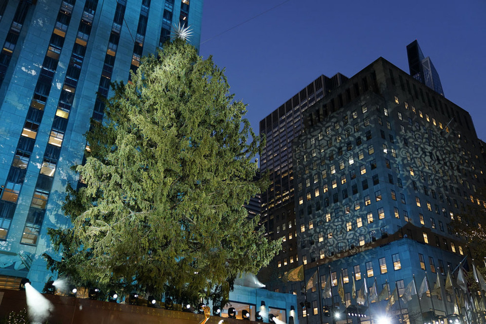 Rockefeller Center Christmas Tree