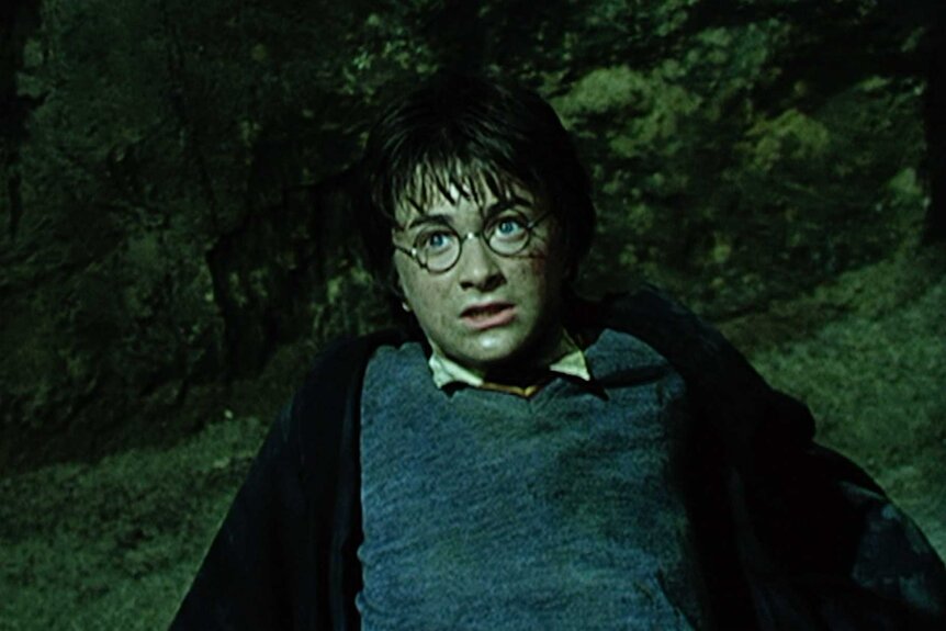 Harry Potter on the floor of a dark chamber in Harry Potter and the Chamber of Secrets (2002).