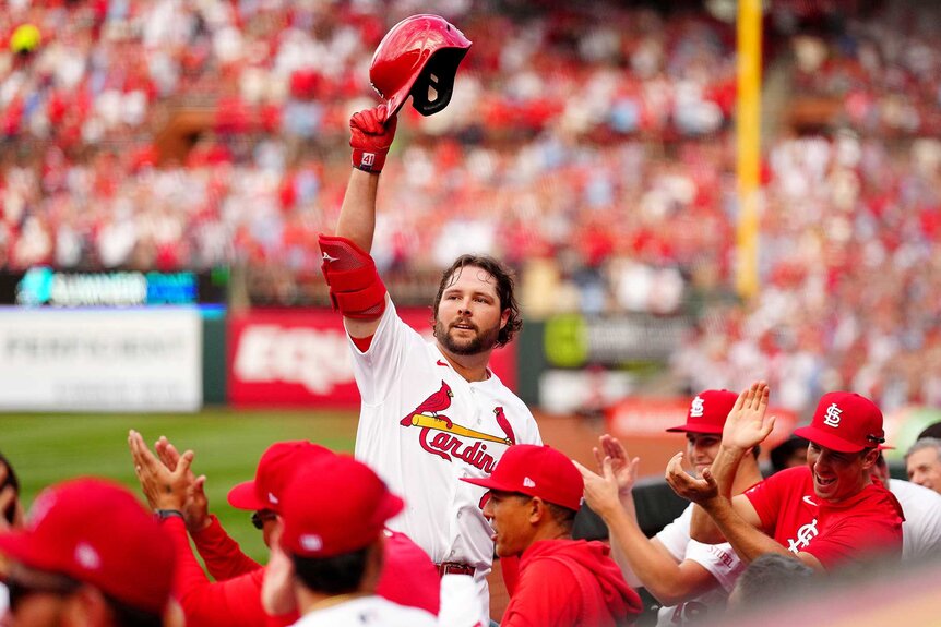 Alec Burleson of the St. Louis Cardinals reacts to a home run during the game between the Tampa Bay Rays and the St. Louis Cardinals.
