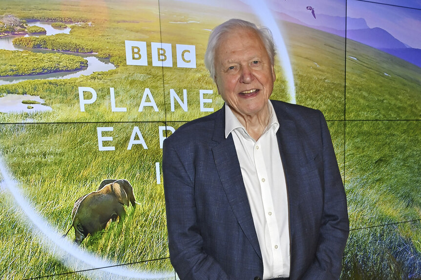 Sir David Attenborough smiling and posing in front of a screen.